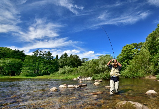 渓流ルアーフィッシングを楽しむ釣り人